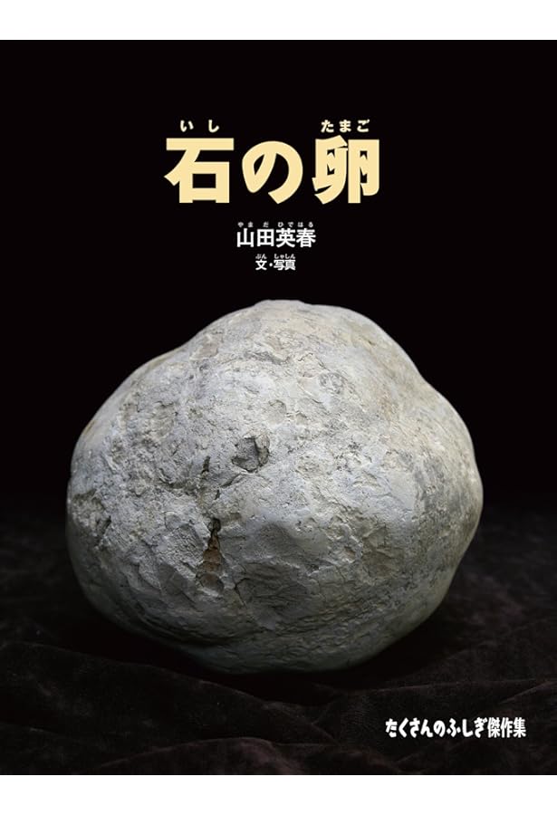 奇妙で美しい 石の世界 (ちくま新書 1263) | 山田 英春 |本 | 通販