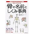 ぜんぶわかる骨の名前としくみ事典―部位別にわかりやすくビジュアル解説