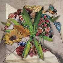 jizue サインCD セット Amazon.co.jp: Seeds: ミュージック