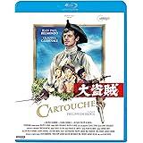 大盗賊 [Blu-ray]