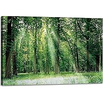 Amazon.co.jp: 絵画 壁画の風景画 自然 森 緑 太陽 夏 枝下 林間
