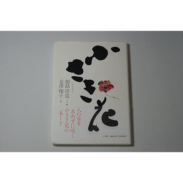 Amazon.co.jp: タオと谷の思索 : 加島 祥造: Japanese Books