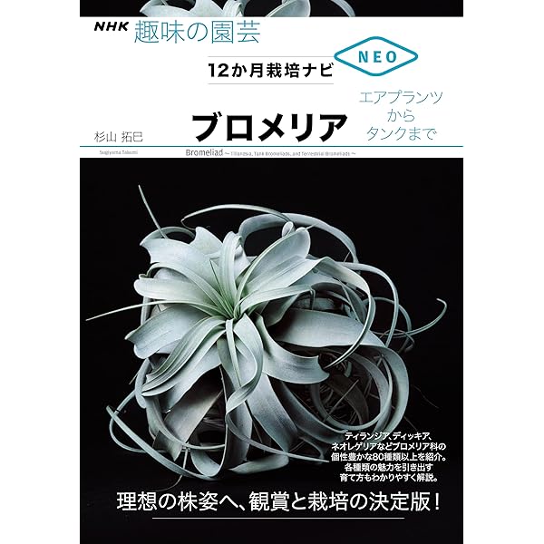 Amazon.co.jp: 枯らさないエアプランツの育て方・増やし方・巨大化方法