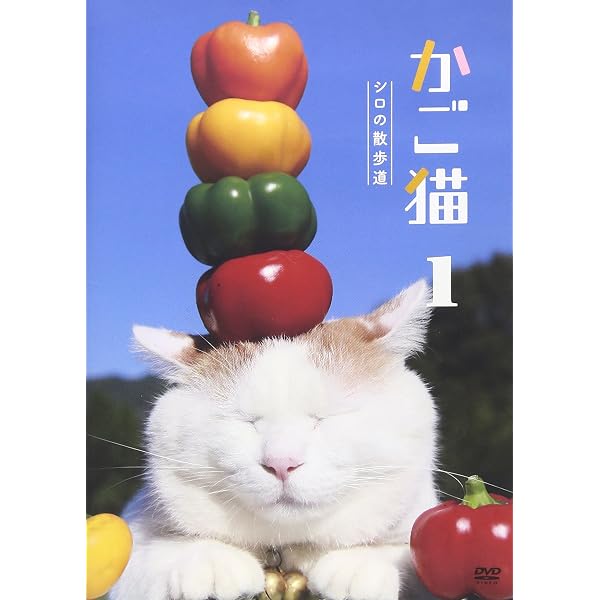 Amazon.co.jp: ネコメンタリー 猫も、杓子も。 [DVD] : 養老孟司, 松坂