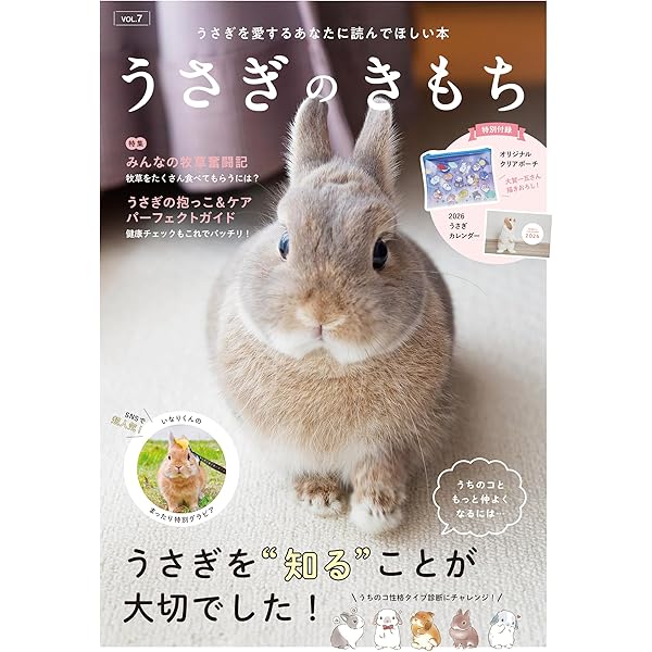 Amazon.co.jp: 兎に角うさぎがかわいい : 大賀 一五: Japanese Books