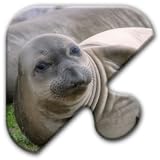 Jigsaw Puzzles Free Game - Chapter 40