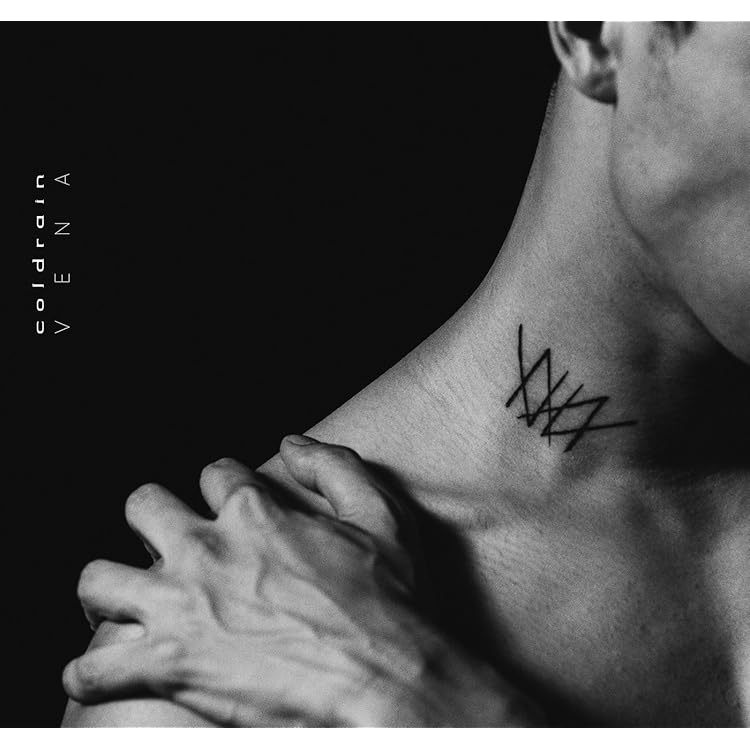 coldrain NONNEGATIVE 初回限定版+ワッペン２つ coldrain NONNEGATIVE 初回限定版+ワッペン2つ