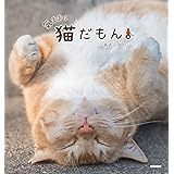 気ままに猫だもん。