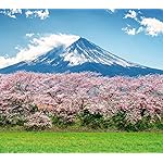 世界遺産 QHD(1080×960) 富士山ー信仰の対象と芸術の源泉/日本 世界遺産 QHD(1080×960) 富士山ー信仰の対象と芸術の源泉/日本