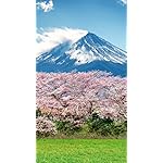 世界遺産 XFVGA(480×854)壁紙 富士山ー信仰の対象と芸術の源泉/日本 世界遺産 XFVGA(480×854)壁紙 富士山ー信仰の対象と芸術の源泉/日本