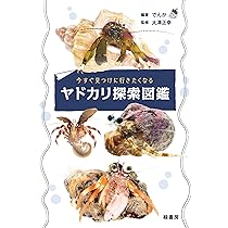 決定版 日本のイカ・タコ | 土屋 光太郎, 阿部 秀樹 |本 | 通販 | Amazon