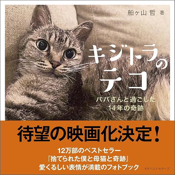 Amazon.co.jp: 捨てられた僕と母猫と奇跡――心に傷を負った二人が新たに