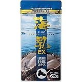 国産原料 亜鉛 牡蠣サプリ 海乳EX 販売実績20年の濃縮牡蠣エキス （31日分／62粒） グリコーゲン アルギニン ビタミン ミネラル アミノ酸 高配合