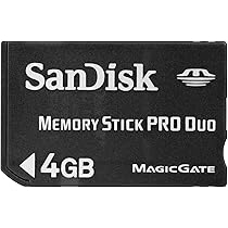 Amazon | SanDisk MemoryStick Pro Duo 4GB SDMSPD-4096-J95 | SanDisk