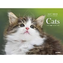 カレンダー2027 Cats（月めくり/壁掛け・リング/猫 ねこ こねこ
