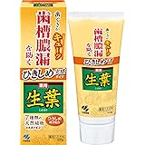 ひきしめ生葉(しょうよう) 歯槽膿漏を防ぐ 薬用ハミガキ 和漢ハーブの香味 100ｇ 【医薬部外品】