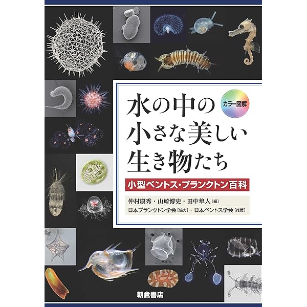 【中古】講談社こども学習百科(8)水のせいぶつ(エンサイクロペディアナレッジ)／種村鴻著／講談社 カラー図解 水の中の小さな美しい生き物たち: 小型ベントス