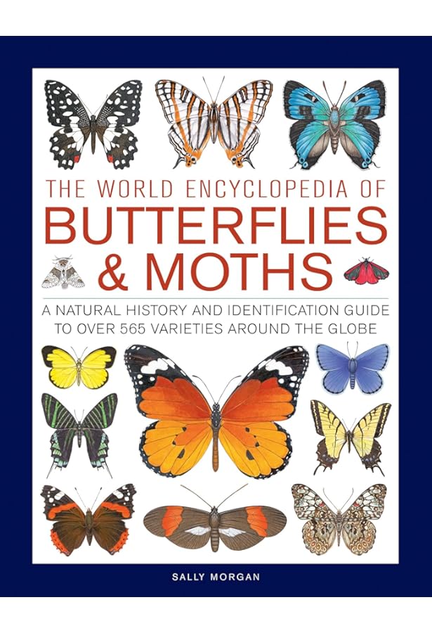 Adrian Hoskins　Butterflies of the World Amazon.com: Butterflies of the World: 9781421427171: Hoskins