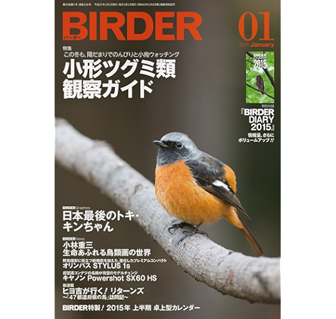 Birder バーダー 15年 01月号 雑誌 Birder編集部 趣味 その他 Kindleストア Amazon