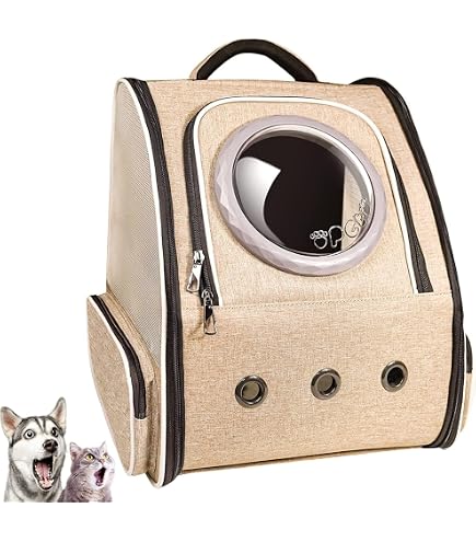 Amazon.co.jp: little comfo リトルコンフォ gold メッシュバック