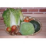 高知の旬の野菜詰め合わせセット!!【13品目】