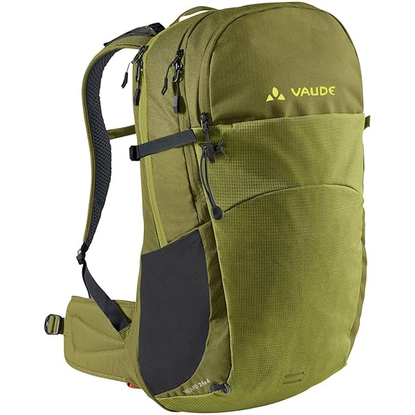 Amazon.co.jp: [ファウデ] リュック ウィメンズ アストラム60+10 Salsa