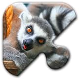 Jigsaw Puzzles Free Game - Chapter 38