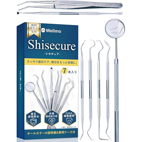 Amazon | 歯石取り 歯石 スケーラー デンタルミラー 入り 歯用ツール