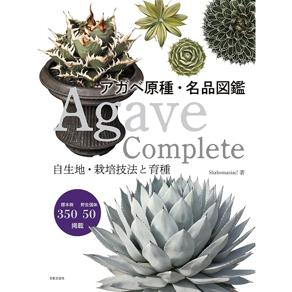 INDOOR JUNGLE No.03 (2025-12-24) [雑誌] | エムピージェー | 趣味