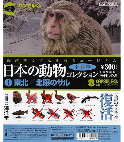 Amazon.co.jp: カプセルQフロイライン クイーンズブレイド S＆M