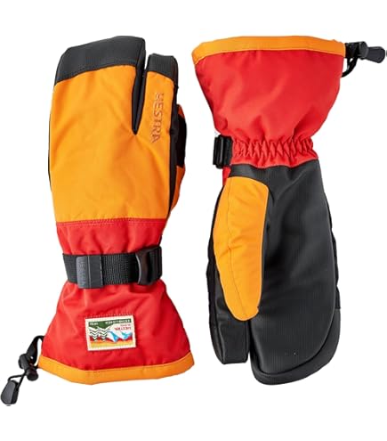 Amazon | Hestra ヘストラ スキー グローブ ＜2023＞ 31652/Powder
