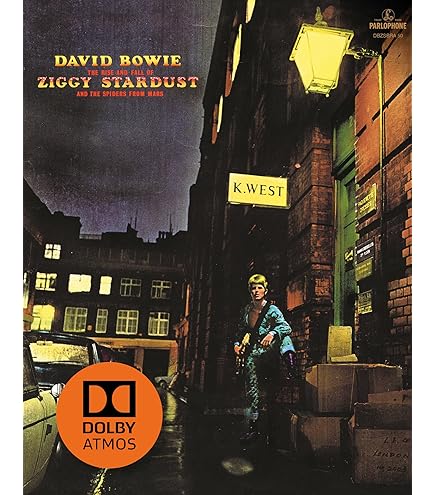 81VQswSajML._AC_UL495_SR435,