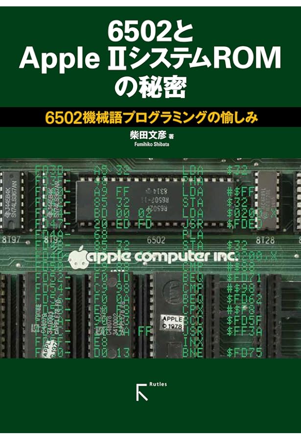 RI書籍 81owKtrsVuL._AC_UF1000,