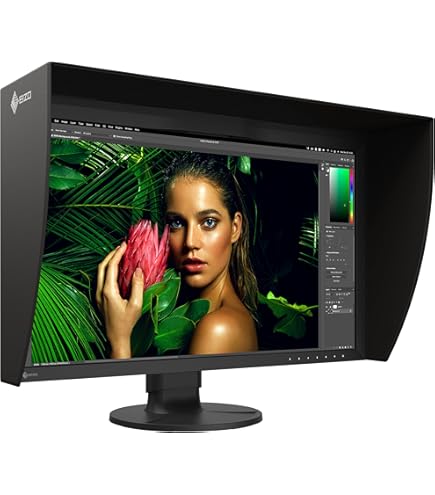 EIZO CG247X-BK ColorEdge Professional Color Graphics Monitor 24.1
