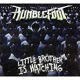 Little Brother Is Watching