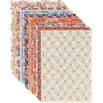 Amazon | 和紙かわ澄 千代紙 友禅和紙 B4 判 約25.7×36.4cm 20枚 A