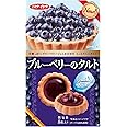 イトウ製菓 ブルーベリーのタルト チーズケーキ仕立て 8枚×6箱