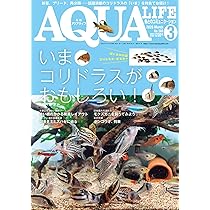 月刊アクアライフ 2023年全号 バックナンバー 月刊アクアライフ 2023年 03 月号 プレコ・プレミアム [雑誌] | アクア