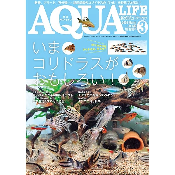 月刊アクアライフ 2026年02月号AL版“推しの熱帯魚”ランキング！ [雑誌