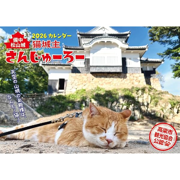 備中松山城 猫城主 さんじゅーろー | 西松 宏 |本 | 通販 | Amazon