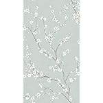 アクセントクロス XFVGA(480×854)壁紙 桜 アクセントクロス XFVGA(480×854)壁紙 桜