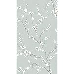 アクセントクロス QHD(540×960)壁紙 桜 アクセントクロス QHD(540×960)壁紙 桜