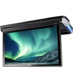 Amazon | Pioneer フリップダウンモニター TVM-FW1050-S 10.1インチ