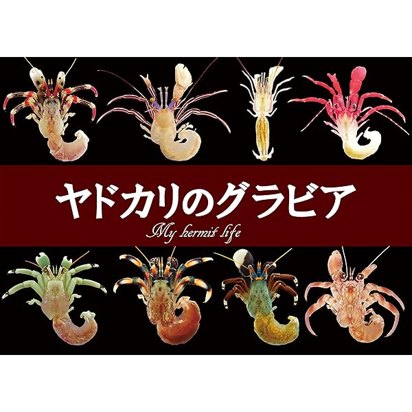 Amazon.co.jp: ヤドカリのグラビア Hermit crab complex eBook : 笠谷