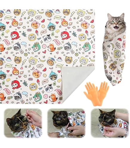 なめネコ 下敷き 10枚セット なめネコ 下敷き 10枚セット 2025年最新