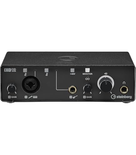 Amazon.co.jp: Steinberg IXO22 2x2 USB 2.0 24-Bit/192kHz オーディオ