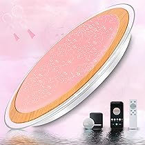 Amazon.co.jp : Kazvincita LED 音楽シーリングライト alexa対応