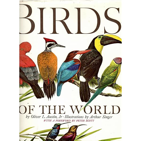 世界鳥類大図鑑 BIRD 世界鳥類大図鑑(バードライフ・インターナショナル 総監修 ; 出田興生