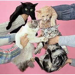 Amazon.co.jp: フェイクワールドワンダーランド: ミュージック