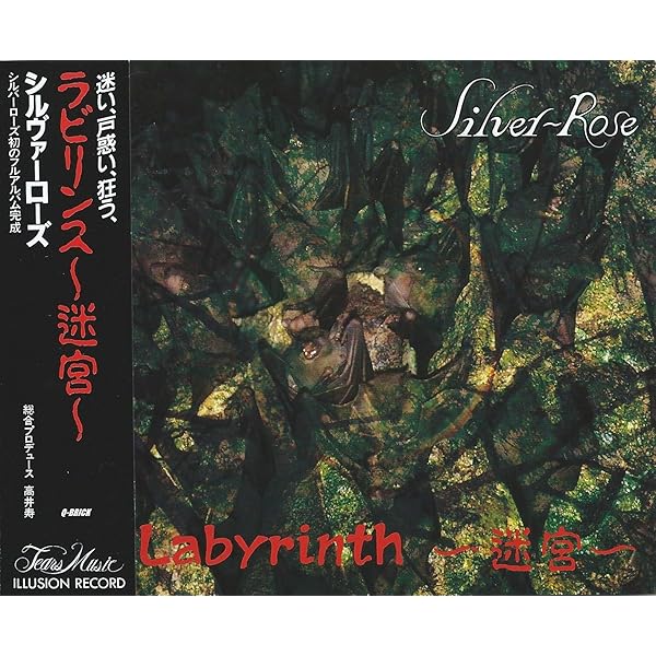 Amazon.co.jp: LABYRINCE～迷宮～: ミュージック